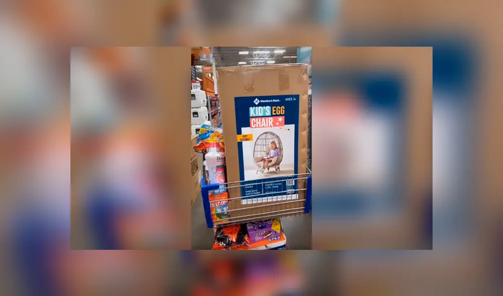 Desliza las imágenes para observar el comportamiento de un perro al creer que su dueña le compró una silla. Foto: Captura. Desliza las imágenes para observar el comportamiento de un perro al creer que su dueña le compró una silla. Foto: Captura.