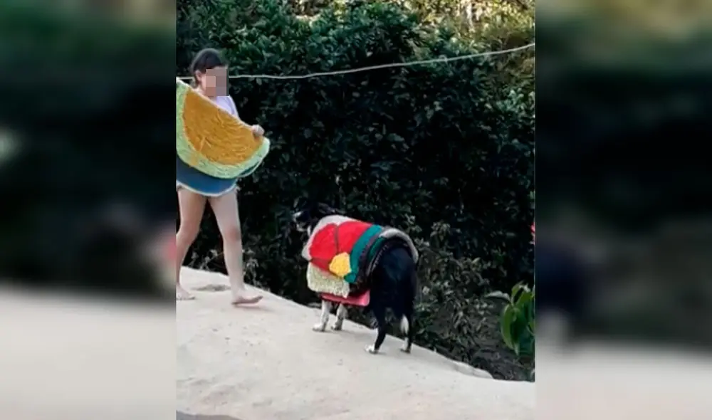 Desliza las imágenes para observar la curiosa escena protagonizada por un perro junto a la hija de su dueña. Foto: Captura de Facebook Desliza las imágenes para observar la curiosa escena protagonizada por un perro junto a la hija de su dueña. Foto: Captura de Facebook