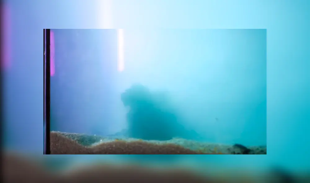 Video es viral en YouTube. Un curioso experimento dejó sin palabras a miles de personas, debido a que muestra lo que sucede con la lava al entrar en contacto con el agua. Foto: Captura.