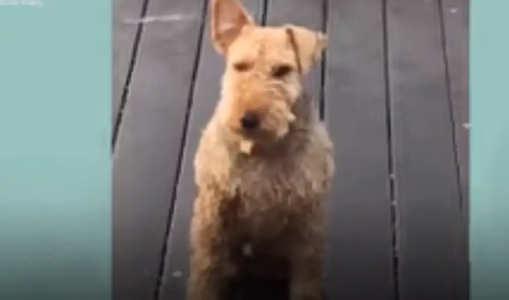 Desliza hacia la izquierda para ver las imágenes del video viral. Foto: captura de YouTube.