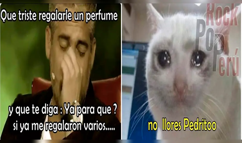 Crueles memes sobre Sheyla Rojas y Pedro Moral tras 'El Valor de la Verdad' [VIDEO]