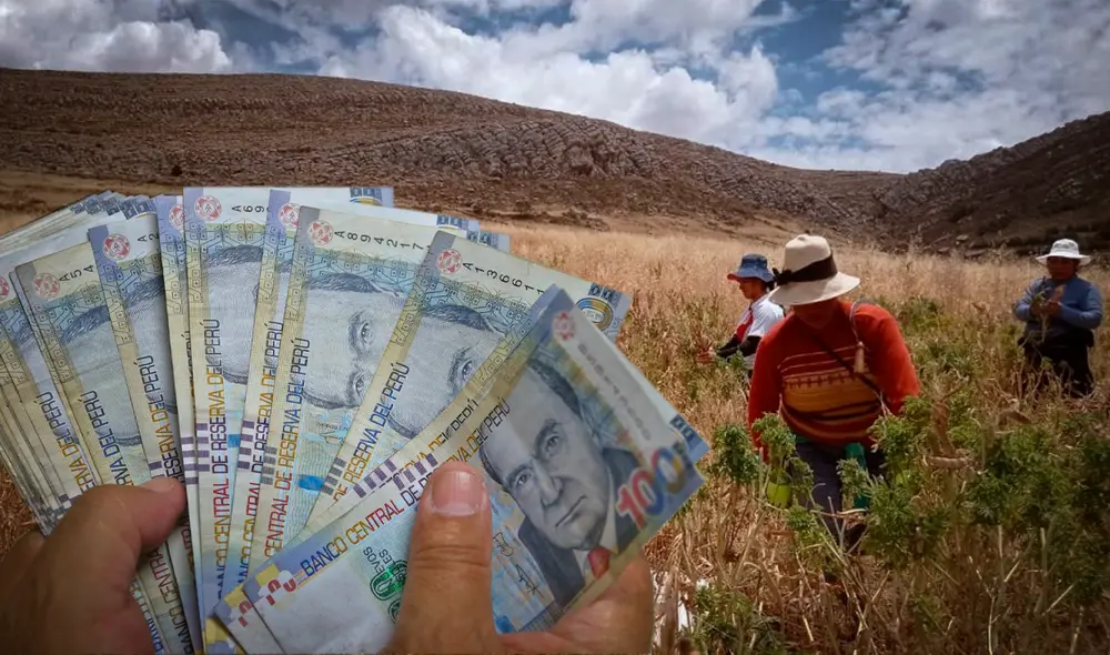 Bono por sequía Midagri: estos son los requisitos para cobrar el subsidio de hasta S/3.200 | Bono sequía