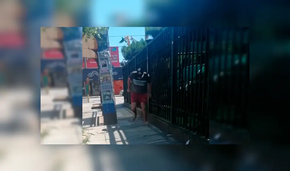 Video es viral en YouTube. Jóvenes captaron la extraña conducta del pájaro con todas las personas desprevenidas que pasaban por un campus universitario