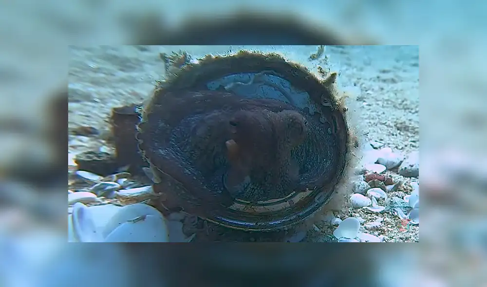 Desliza para ver los detalles de este video viral publicado en YouTube. Foto: Captura. Desliza para ver los detalles de este video viral publicado en YouTube. Foto: Captura.