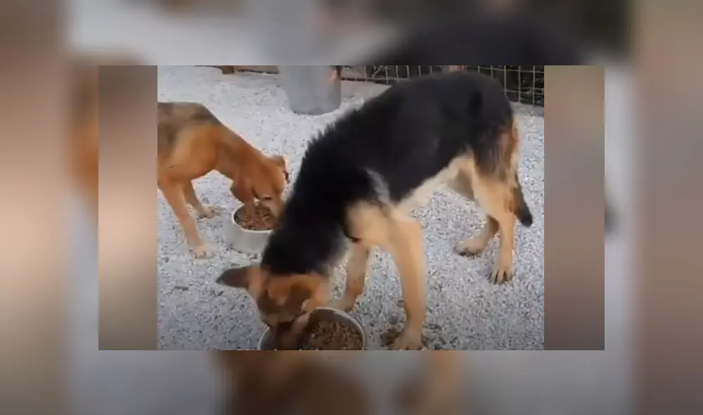 Desliza hacia la izquierda para ver las imágenes del viral de Facebook. Foto: Captura.