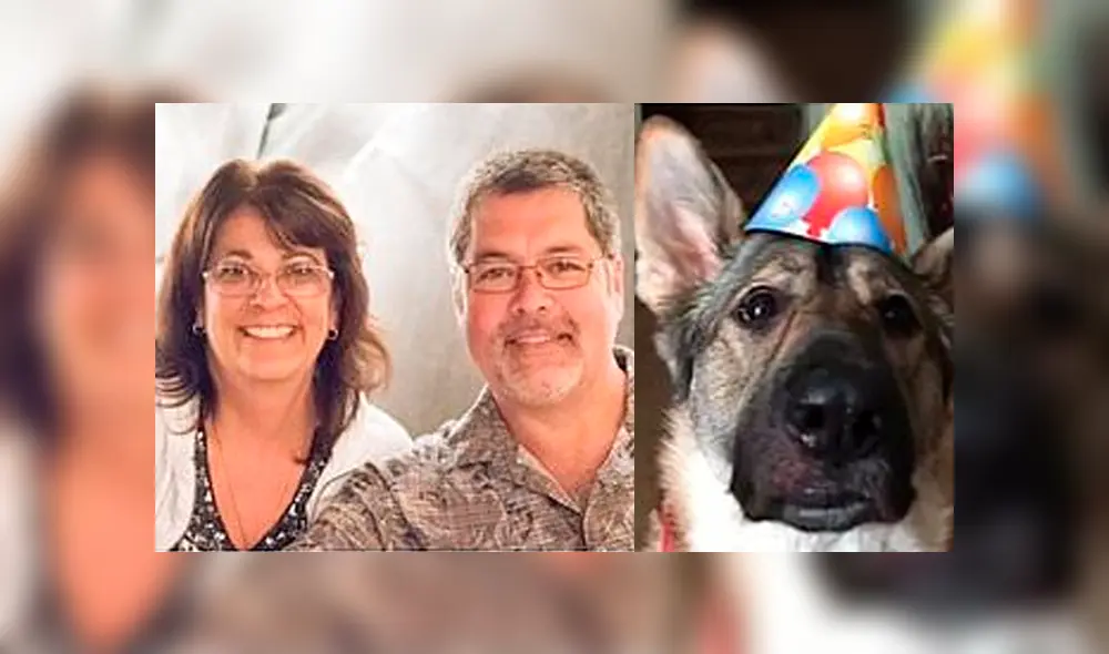 Mujer pierde brazos y piernas luego de que su mascota le lamiera una herida [VIDEO]