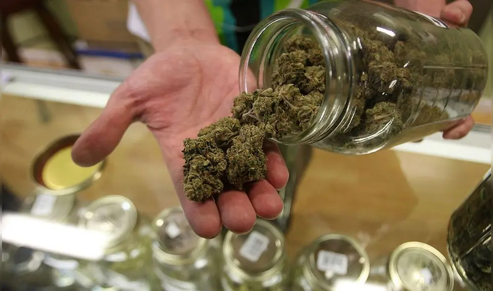 Devida: Tacna, Lima, Cusco y Arequipa registran mayor consumo de marihuana