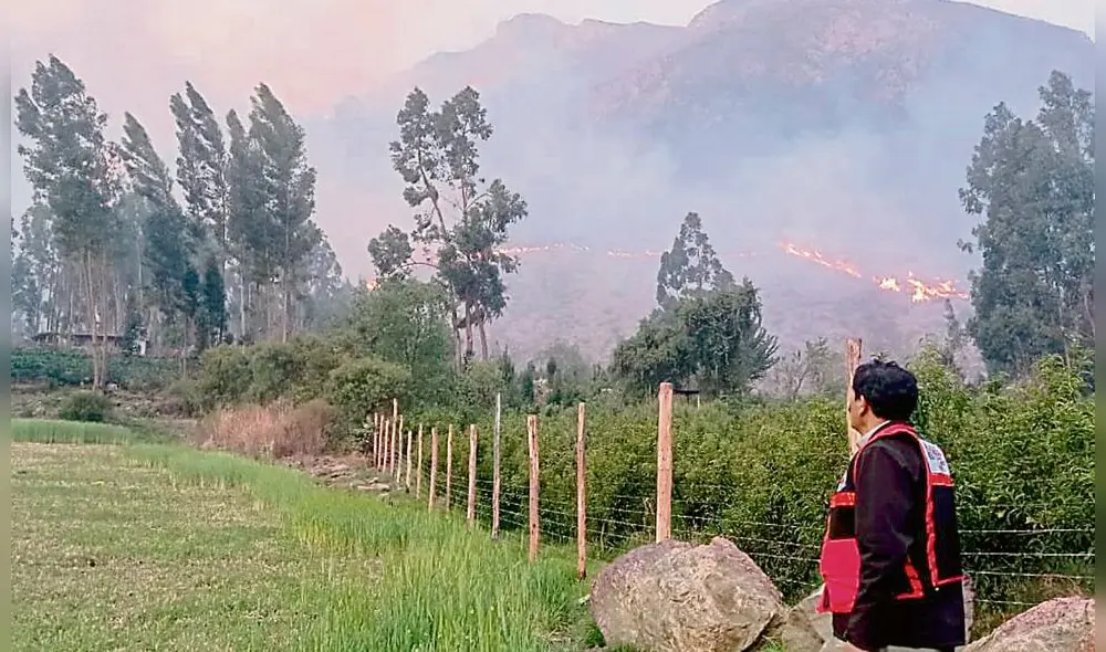 cientos. Incendios afectaron más de 60 mil hectáreas de pastos en provincias de Cusco en lo que va del año.