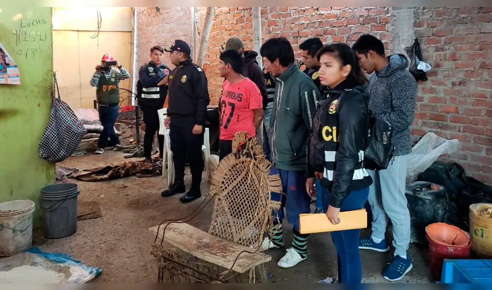 Policía presentó a los detenidos tras realizar operativo en dos ciudades.