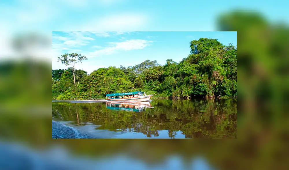 Congreso aprueba ley de Promoción de la Amazonía sostenible, ¿en qué consiste?