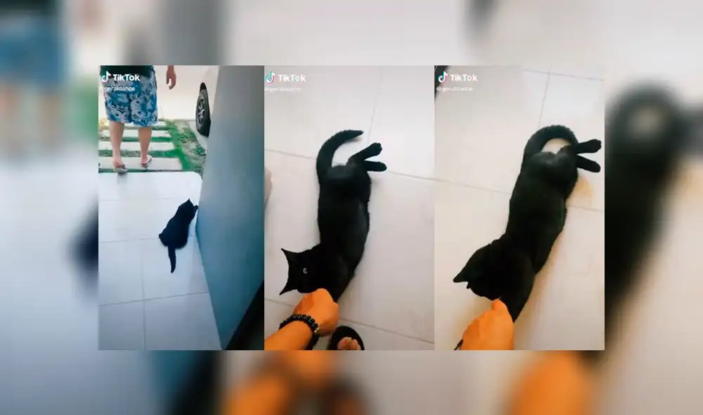 Desliza a la izquierda para ver más sobre el nuevo viral de TikTok. Foto: Captura. Desliza a la izquierda para ver más sobre el nuevo viral de TikTok. Foto: Captura.