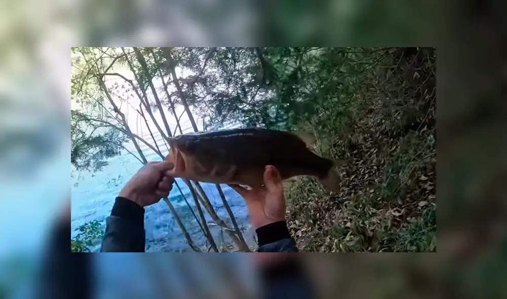 Pescador emerge su mano dentro de un misterioso río de Brasil. Pescador emerge su mano dentro de un misterioso río de Brasil.