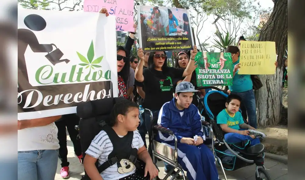 En Perú 80 pacientes se tratan con aceite de marihuana En Perú 80 pacientes se tratan con aceite de marihuana