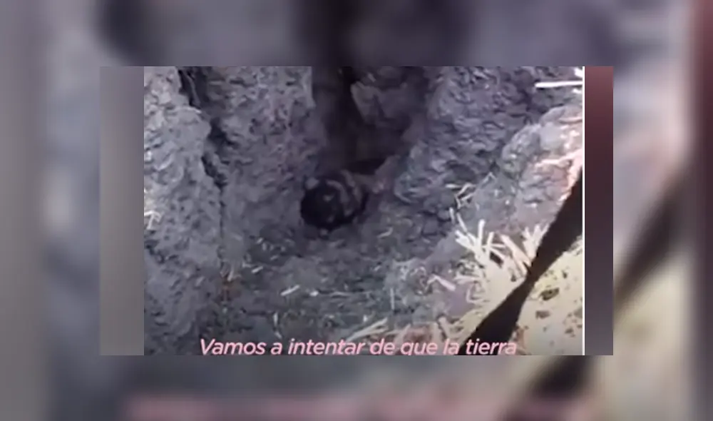 Desliza hacia la izquierda para ver el conmovedor rescate que se viralizó en Facebook.