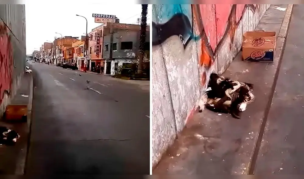 Las imágenes fueron difundidas en las redes sociales. Las imágenes fueron difundidas en las redes sociales.