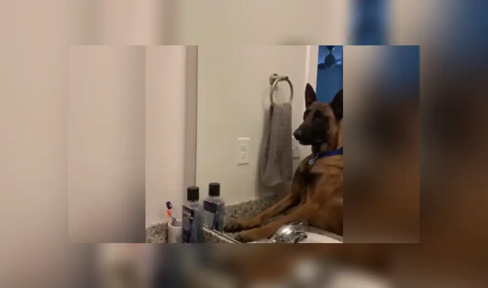 Desliza a la izquierda para conocer más sobre este nuevo video viral que ha hecho reír a miles en Facebook. Foto: Captura. Desliza a la izquierda para conocer más sobre este nuevo video viral que ha hecho reír a miles en Facebook. Foto: Captura.