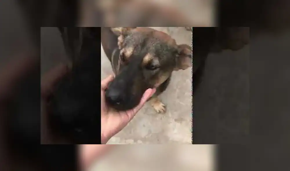 Desliza hacia la izquierda para ver las imágenes del viral de Facebook. Foto: Captura. Desliza hacia la izquierda para ver las imágenes del viral de Facebook. Foto: Captura.