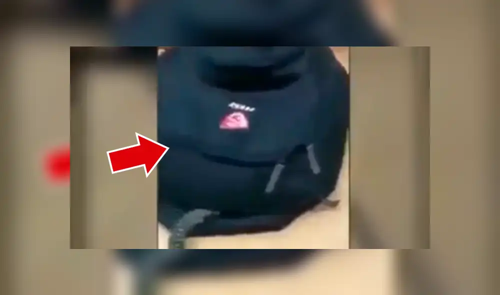 Facebook viral: graban a enorme criatura venenosa ingresando a la mochila de estudiante [VIDEO]