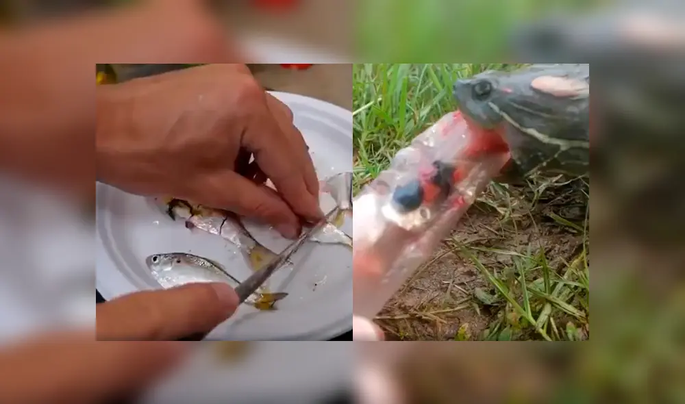 Desliza a la izquierda para ver este nuevo viral de YouTube. Foto: Captura.