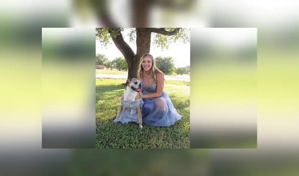 Desliza para ver los detalles de esta historia que se viralizó en Facebook. Foto: Captura. Desliza para ver los detalles de esta historia que se viralizó en Facebook. Foto: Captura.