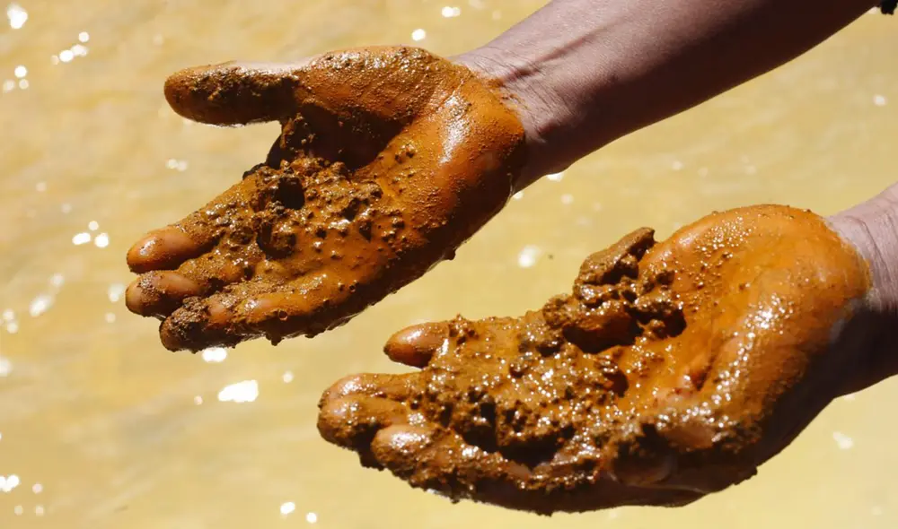 Cuenca lechera en Puno sigue siendo afectada por contaminación minera Cuenca lechera en Puno sigue siendo afectada por contaminación minera