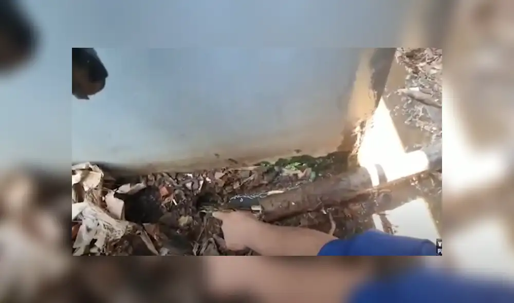 Desliza hacia la izquierda para ver las imágenes del viral de Facebook. Foto: Captura.