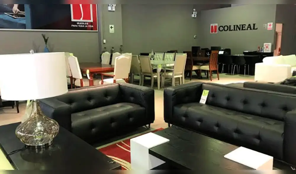 Colineal invertirá 120 mil dólares en una nueva tienda 