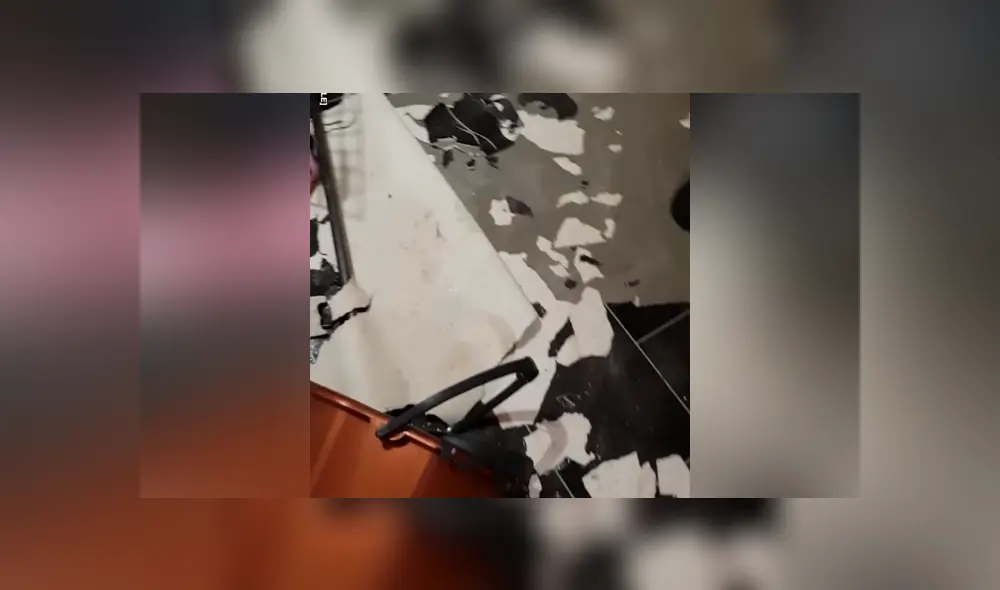 Facebook viral: dejan su casa destruida, busca al culpable y lo encuentra muy avergonzado [VIDEO] 