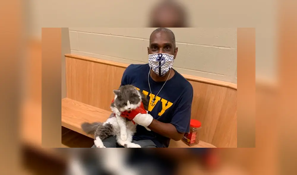 Desliza las imágenes para ver el emotivo reencuentro de este hombre con su amada mascota y las reacciones en redes sociales. Fotocapturas: Bangor Humane Society/Facebook