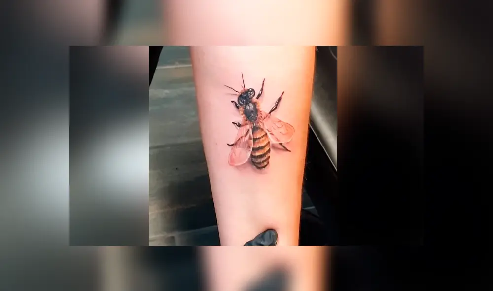 Desliza para ver las imágenes más impactantes del video que se hizo viral en YouTube. Desliza para ver las imágenes más impactantes del video que se hizo viral en YouTube.