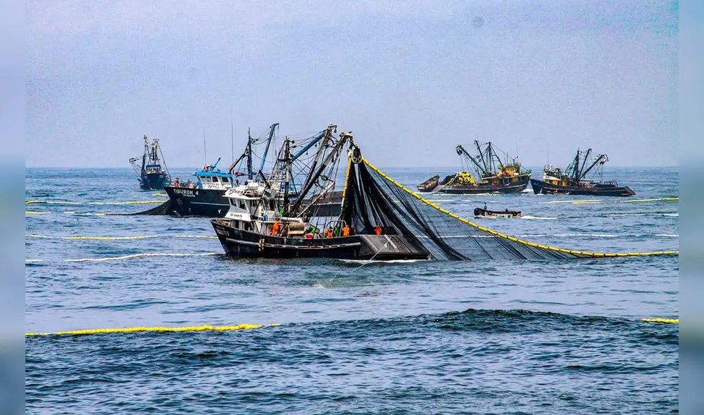 angel paez angel paez