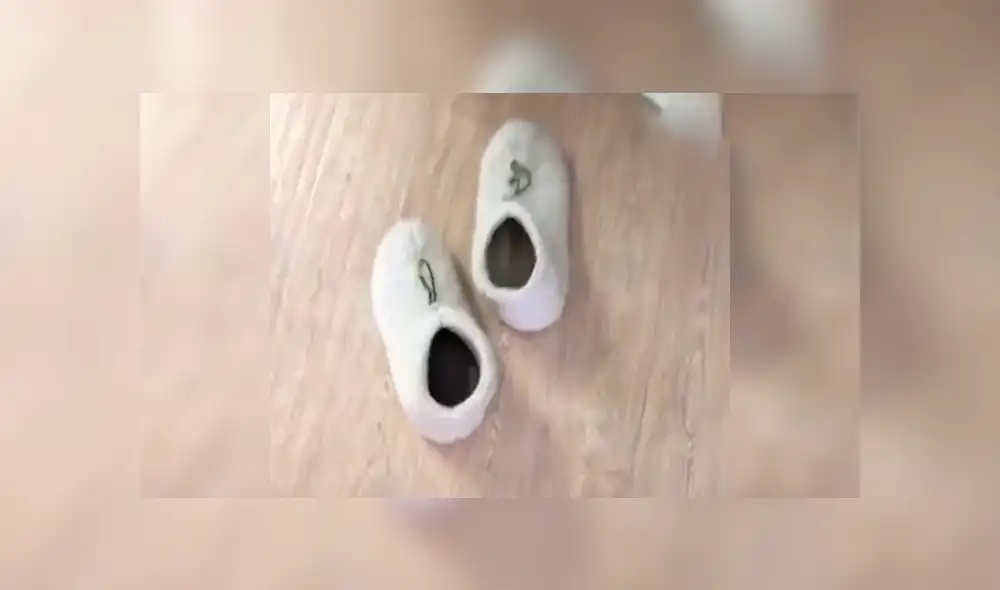 En YouTube, un joven se acercó con cuidado a su pantufla y descubrió a su tierna mascota realizando una travesura. En YouTube, un joven se acercó con cuidado a su pantufla y descubrió a su tierna mascota realizando una travesura.