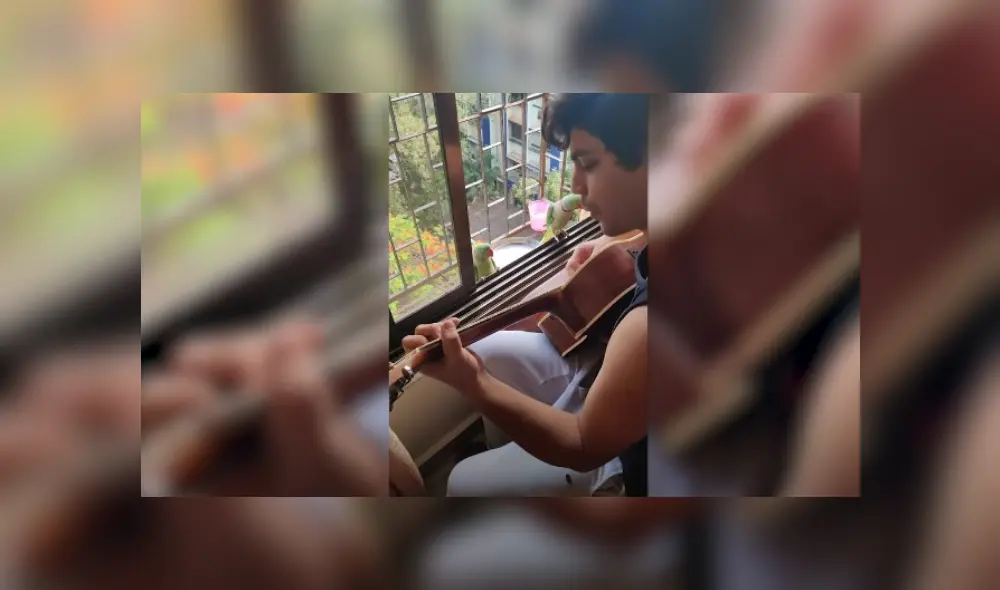 Desliza hacia la izquierda para ver más del video viral. Desliza hacia la izquierda para ver más del video viral.