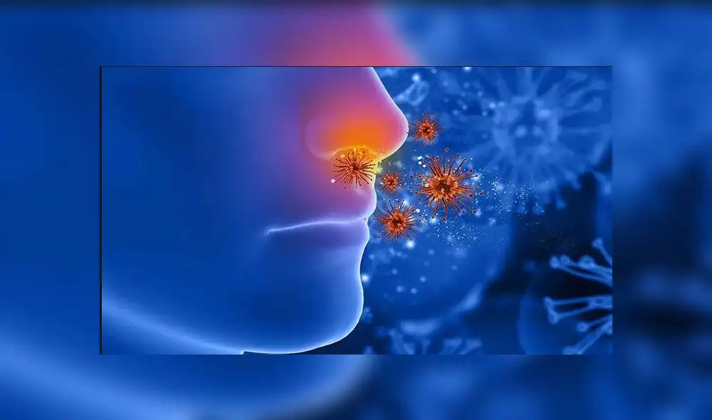 La OMS se encuentra investigando la posibilidad de transmisión de la COVID-19 por aire. Foto: difusión La OMS se encuentra investigando la posibilidad de transmisión de la COVID-19 por aire. Foto: difusión