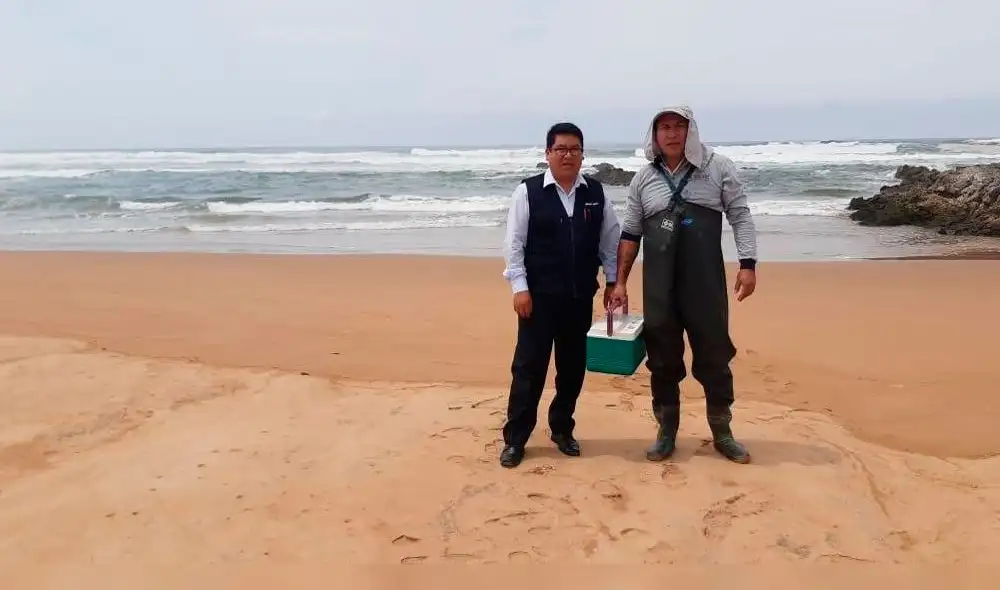 Solo dos playas de Tacna fueron calificadas como saludables. Solo dos playas de Tacna fueron calificadas como saludables.