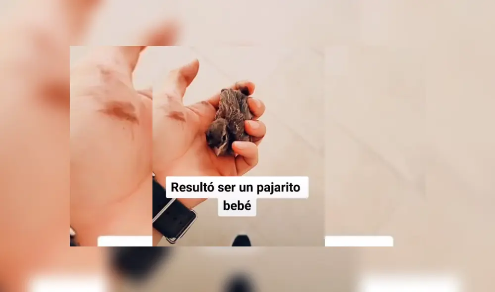Video es viral en TikTok. El can percibió algo extraño en una de las llantas del carro de su dueño y trató de llamar su atención para que él la inspeccionara. Video es viral en TikTok. El can percibió algo extraño en una de las llantas del carro de su dueño y trató de llamar su atención para que él la inspeccionara.