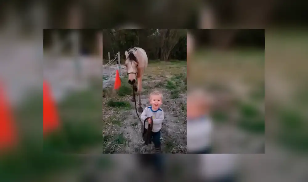 Video viral de YouTube muestra el singular momento en que un bebé guía a un enorme caballo sin temor alguno