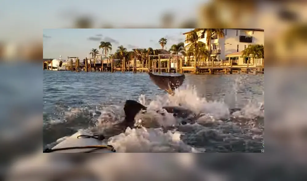 Desliza para ver los detalles del video viral publicado en YouTube. Foto: Captura.