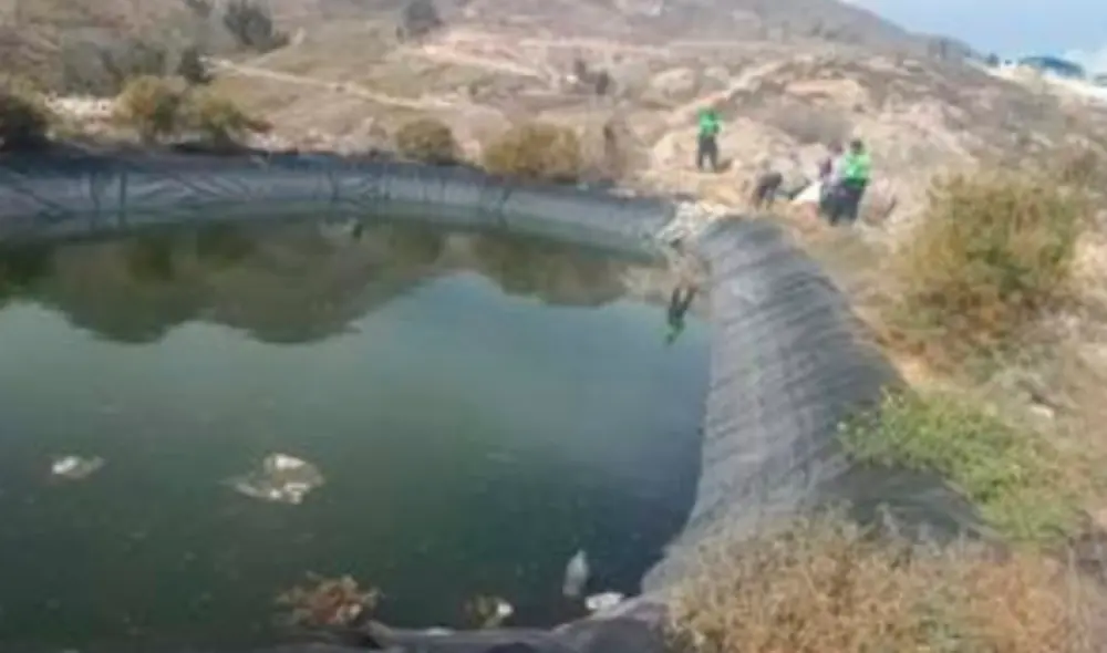 Personal de la Policía y del Ministerio realizaron levantamiento de cadáver. Foto: Radio RCC-Tacna