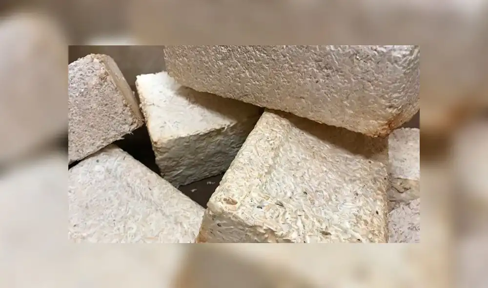 Estos ladrillos ecológicos reducirán la contaminación ambiental. Foto: NASA