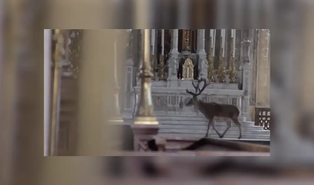 Desliza a la izquierda para conocer más sobre este viral de YouTube. Foto: Captura. Desliza a la izquierda para conocer más sobre este viral de YouTube. Foto: Captura.