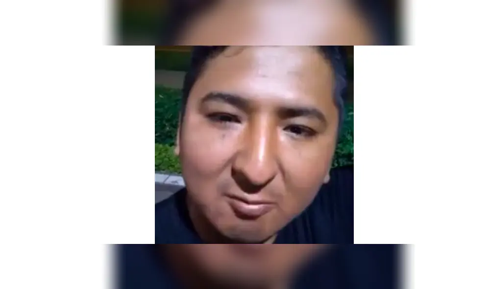 Google Translate: 'Tapir 590' es la nueva victima del traductor por los resultados que dejaron en shock a miles [FOTOS]