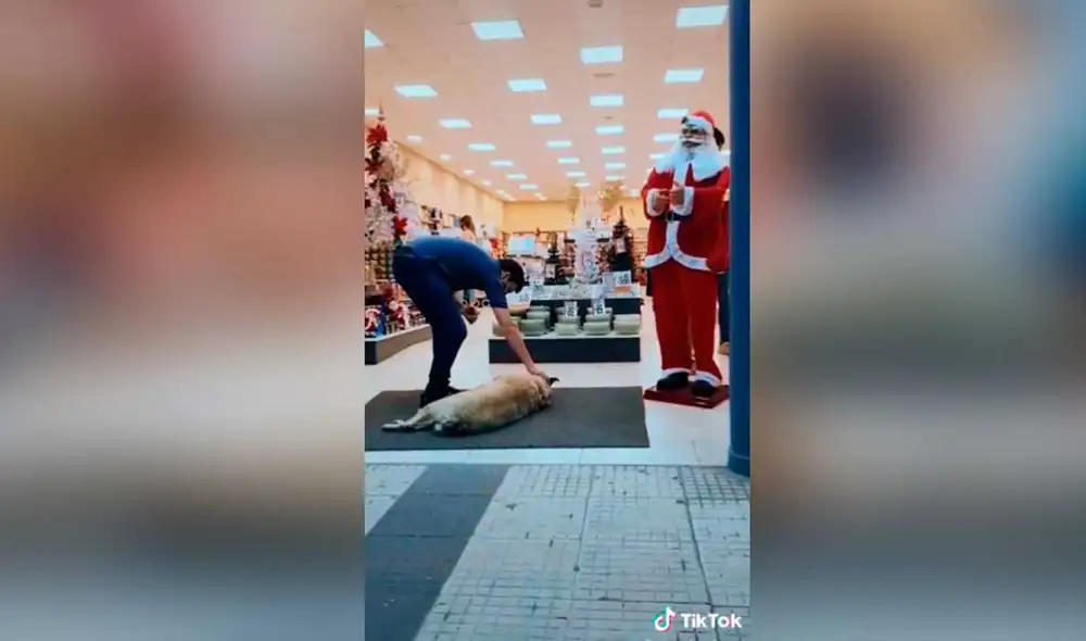 Desliza las imágenes para ver el amoroso gesto que tuvo este joven vendedor con este can callejero. Foto: captura de TikTok/Natacha Piquet