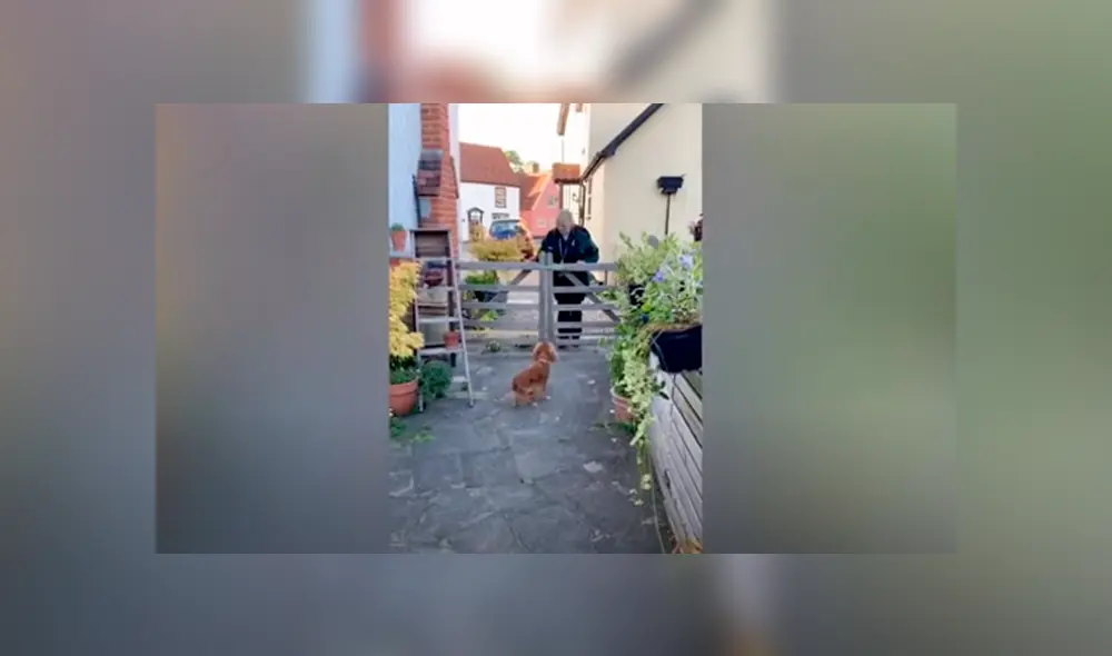 Desliza las imágenes para apreciar la conmovedora que protagonizó una enfermera junto a su mascota.