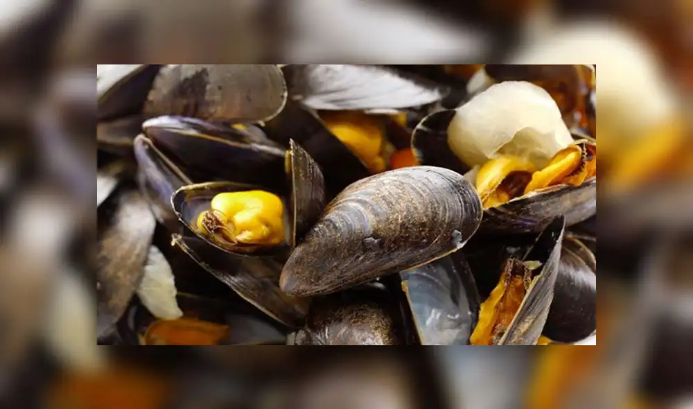 Prohíben extracción de moluscos tras encontrar E. coli. Créditos: Google.