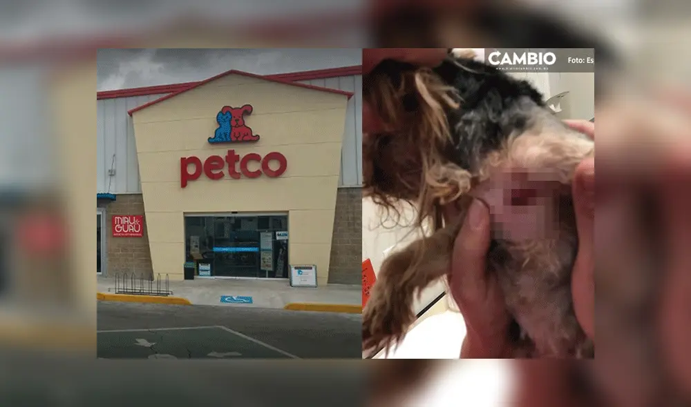 El caso es investigado por maltrato animal. El caso es investigado por maltrato animal.