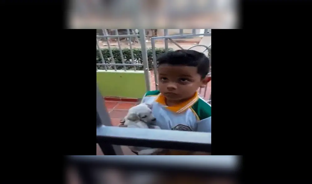 Niño es enviado a comprar a la tienda y regresa a casa con un cachorro en brazos [VIDEO]