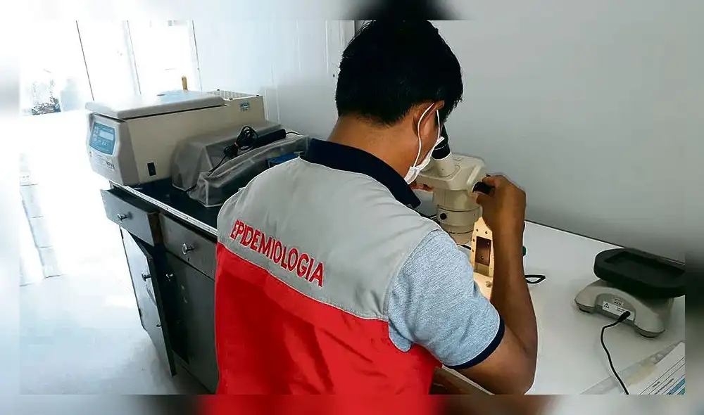 prevención. Laboratorio confirmó que eran larvas de Aedes. prevención. Laboratorio confirmó que eran larvas de Aedes.