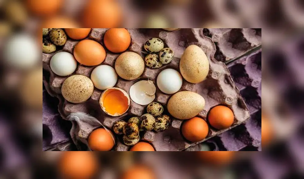 Día Mundial del Huevo: ¿Cuántas veces al día puede consumir este alimento? Día Mundial del Huevo: ¿Cuántas veces al día puede consumir este alimento?