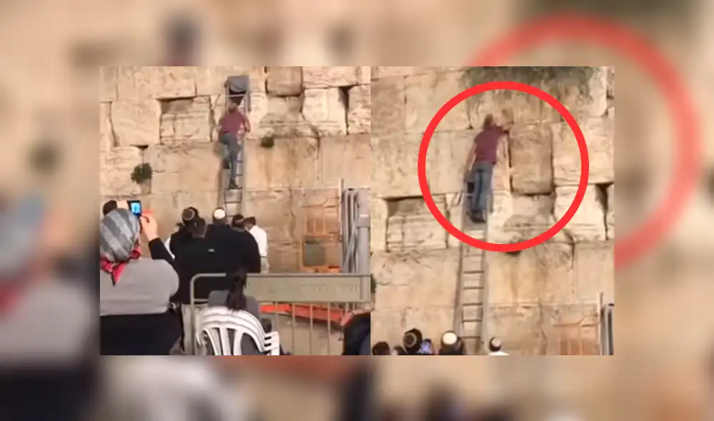 Facebook: fieles quedan aterrados al ver a serpiente en el Muro de los Lamentos en Jerusalén [VIDEO]